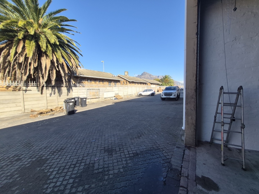 To Let Commercial Property for Rent in Maitland Western Cape